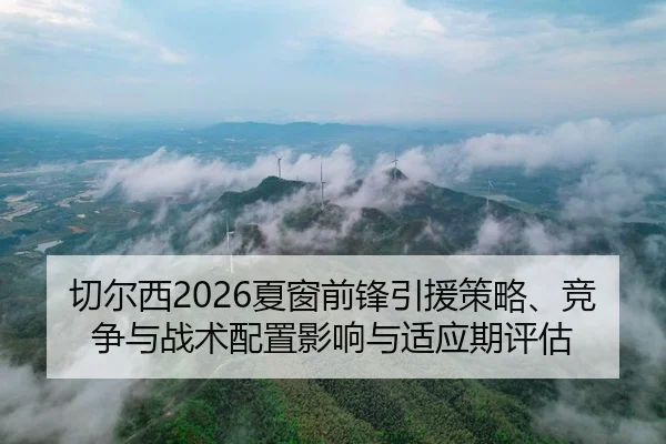 qie-er-xi-xia-chuang-qian-feng-yin-yuan-ce-lve-jing-zheng-yu-zhan-shu-pei-zhi-ying-xiang-yu-shi-ying-qi-ping-gu-2-896.jpg